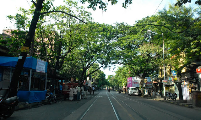 College Street, Calcutta during Durga Puja 2009, Nikon D200