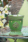 Scentsy Warmer of the month