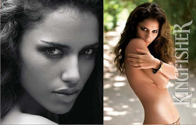 Kingfisher Calendar 2010