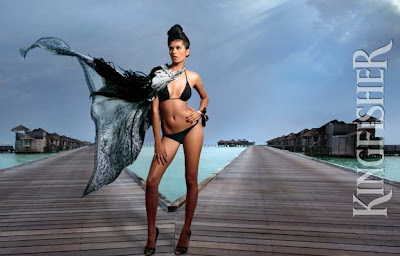 Kingfisher Calendar 2010