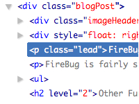 [FireBug.png]