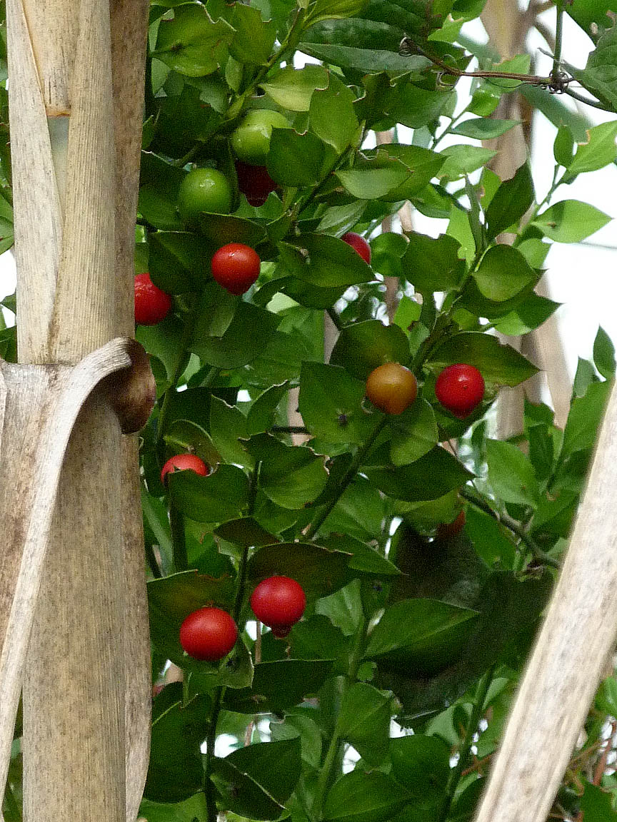 [P1020066.jpg]