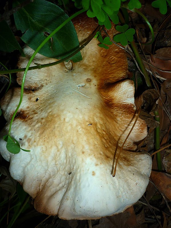 [P1030447.jpg]