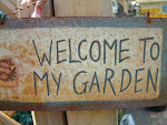 Welcome to my garden