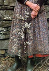 ...A VERY FAIRY GARDEN...: ~Tasha Tudor’s Garden~