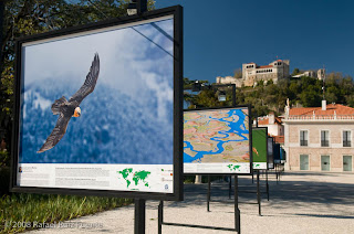 Festival de Fotografia em Leiria