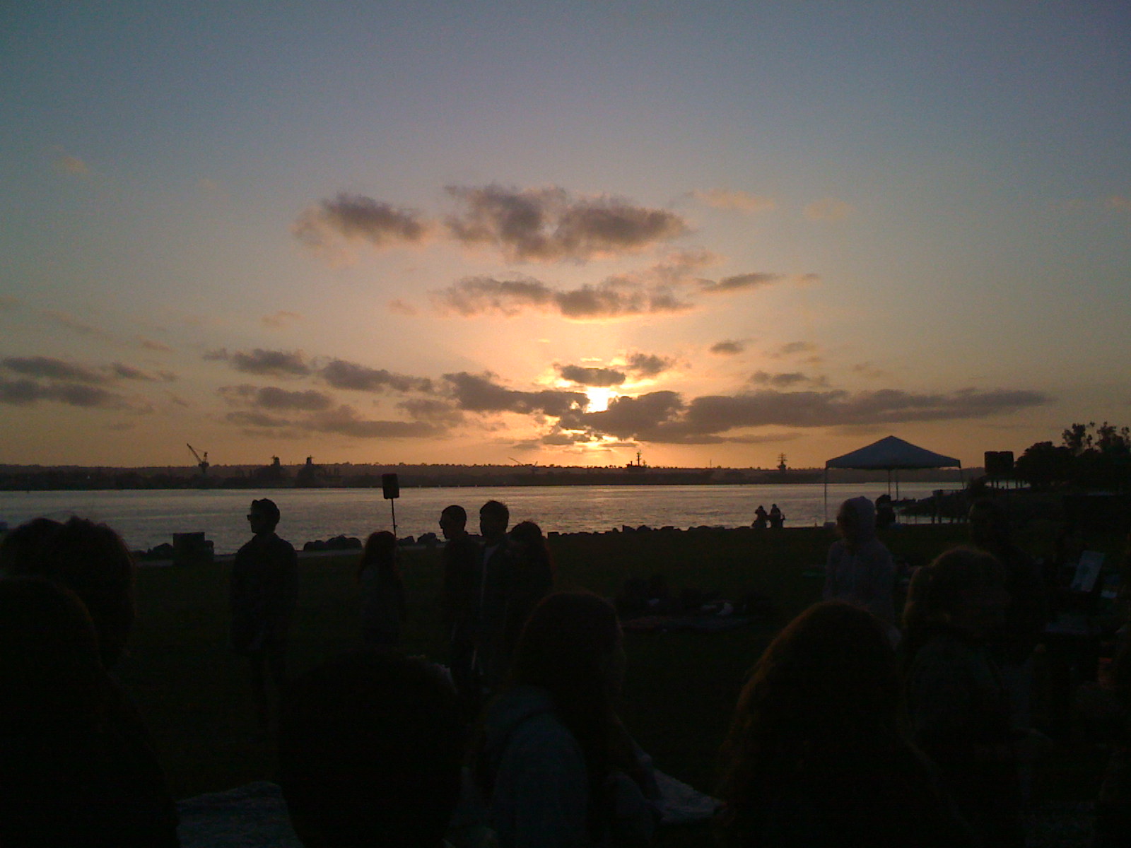 [IMG_0395.JPG]