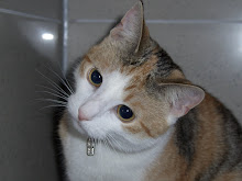 En dit is Spike!
