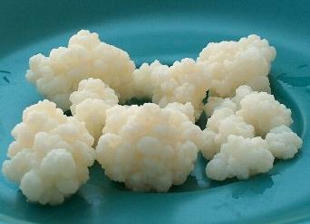 kefir