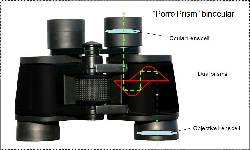 Birding with my Leica Optics Binocular Basics 1