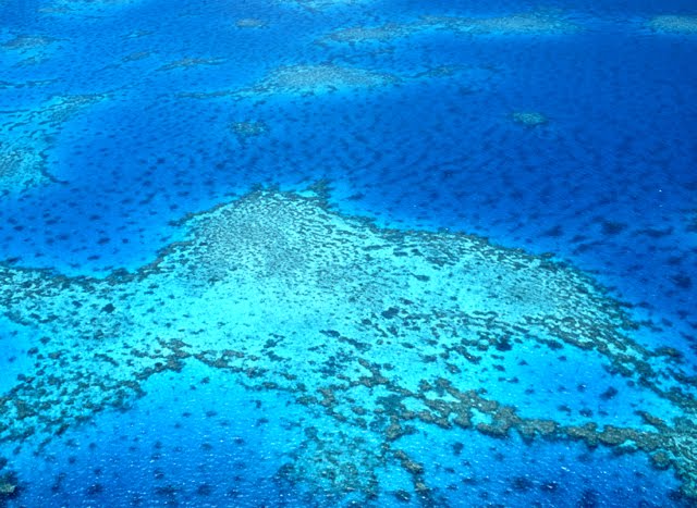 Endeavor Reef, Great Barrier Reef