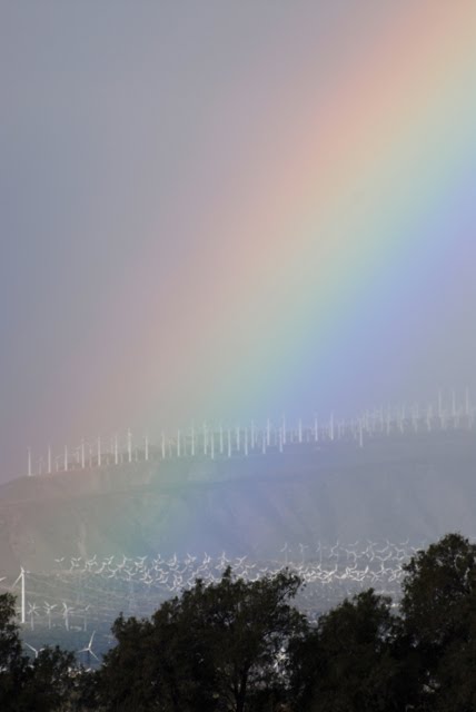 Rainbow over windmills