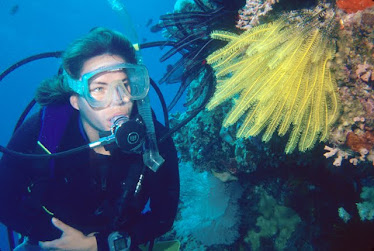 Diver with Feather Star 11102