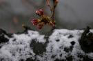 Viewerframe Mode Motion