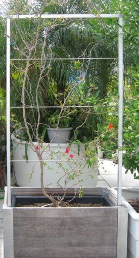 Trellis Planter Box