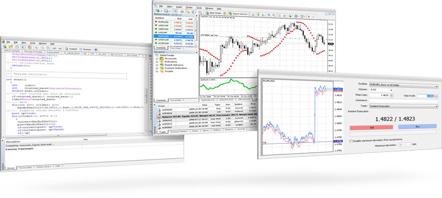 13 kunci sukses forex