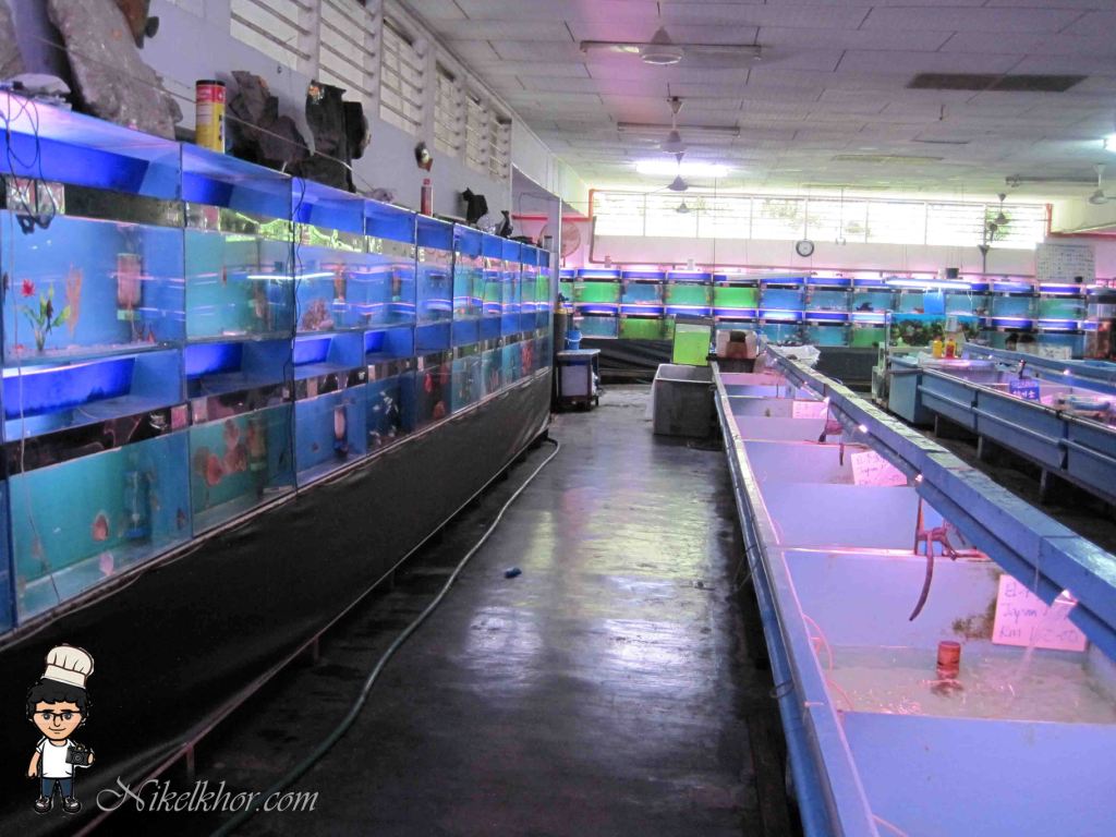 Nan Yang Fish Farm Bemban, Kulai, Johor Nikel Khor ^ ^ PaPago kaki