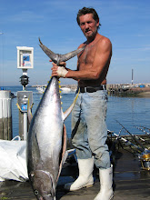 large yellowfin