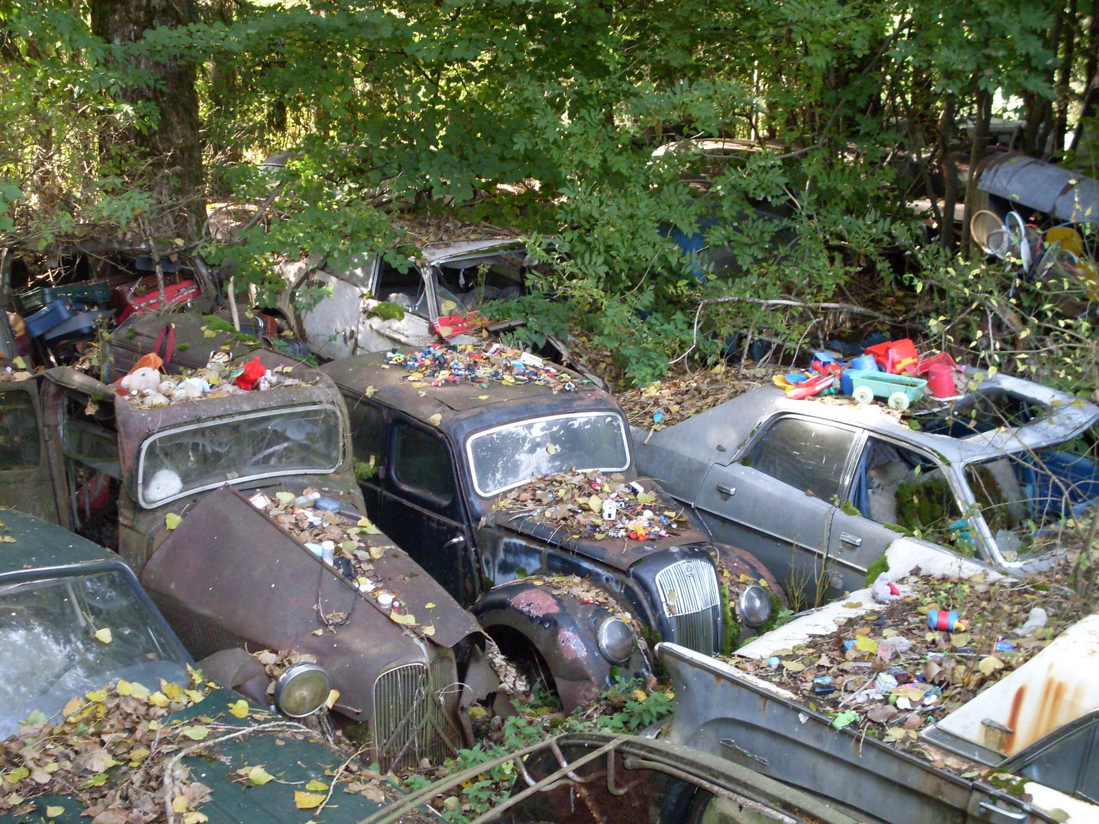 Deportivos Abandonados Archivo Velocidadmaxima Com