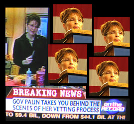 Gov Palin on vetting