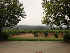 Napa 2010