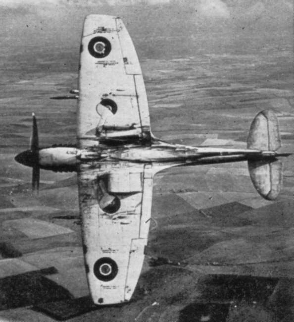 [spitfire_XII.jpg]
