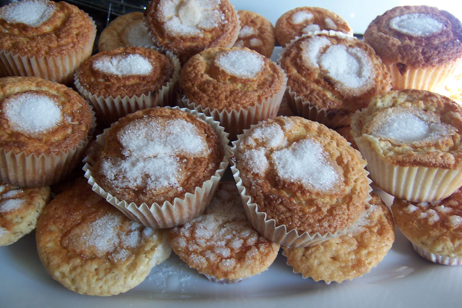 [DICIEMBRE+07+020.JPG]