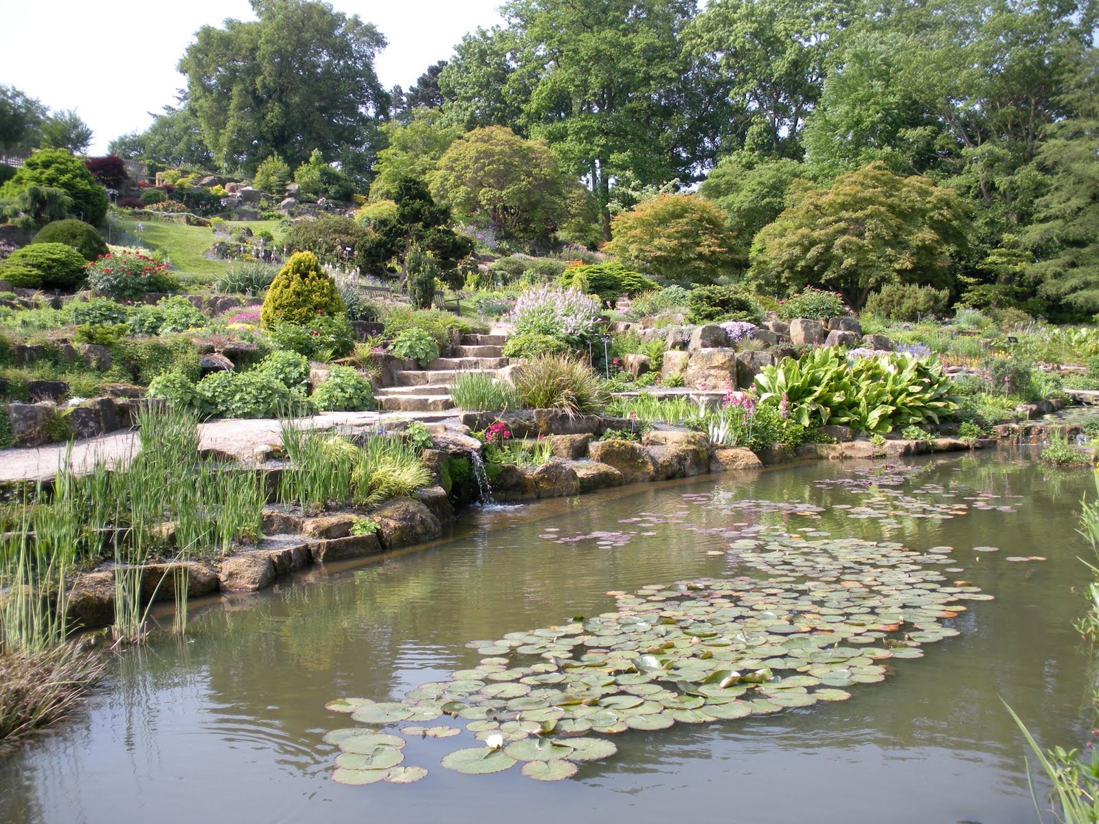 backyard rock gardens