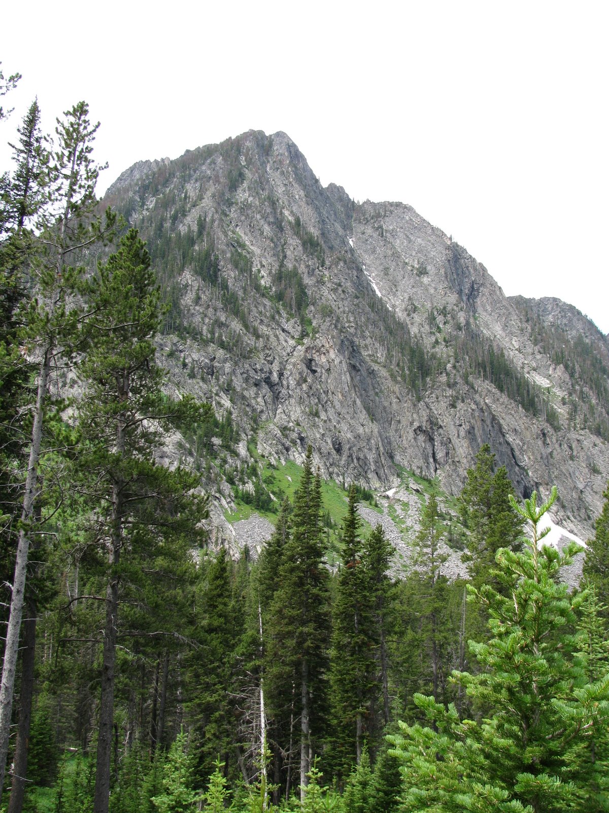 [IMG_4624.JPG]