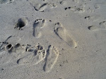 Our family loves the beach