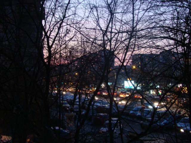 [DSC02221.JPG]