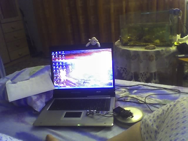 [23-01-07_0135.jpg]