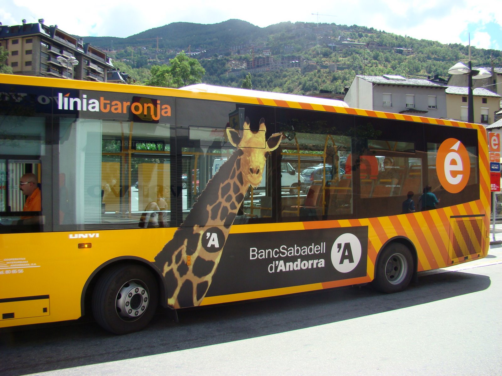 [DSC00404.JPG]