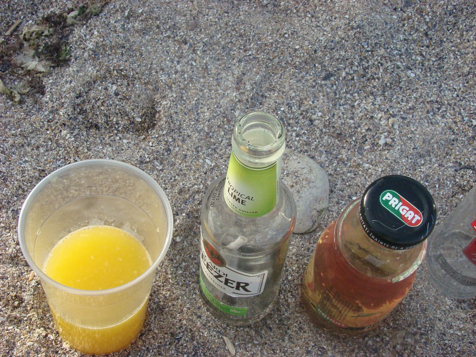 [DSC02844.JPG]