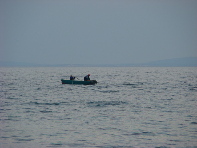 [DSC04087.JPG]