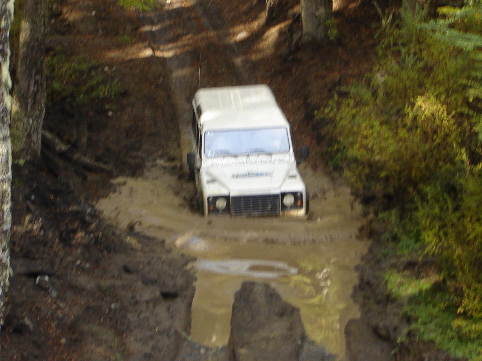 [DSC00826.JPG]