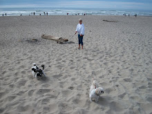 Connie on the Beach