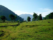 SAN MARTIN TUXTLA