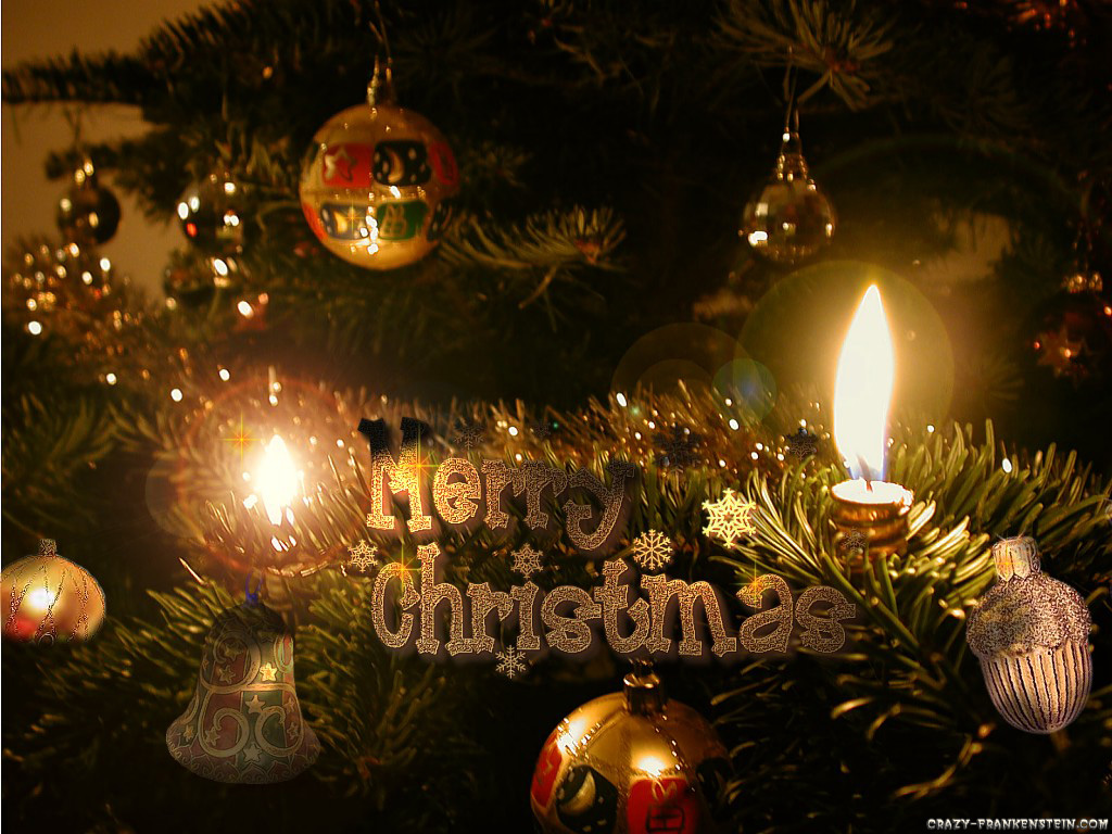 musings of a caribbean princess merry christmas 2010 nightmare before christmas christmas tree