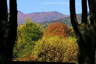 Fall in the Smoky Mountains, as seen from our back terrace.