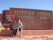 Petrified Forest