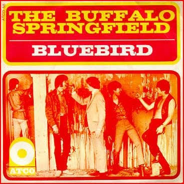 Bluebird Song