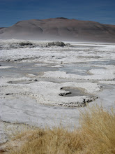 Salar de Tara