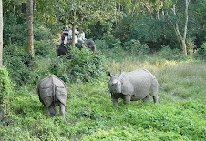 Jungle Safari In NEPAL