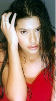 assunta de rossi, sexy, pinay, swimsuit, pictures, photo, exotic, exotic pinay beauties