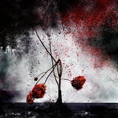 [Image1_H500xW600.jpg]