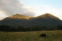 Morro de Maquiné