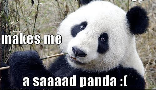 sad-panda.jpg