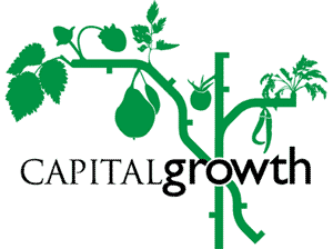 Grow Mayow: Capital growth at