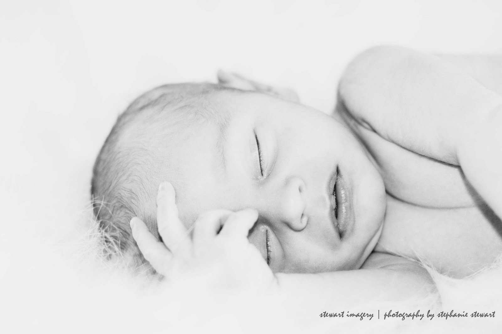 [Newborn-+Colin+Robert-52ps.jpg]